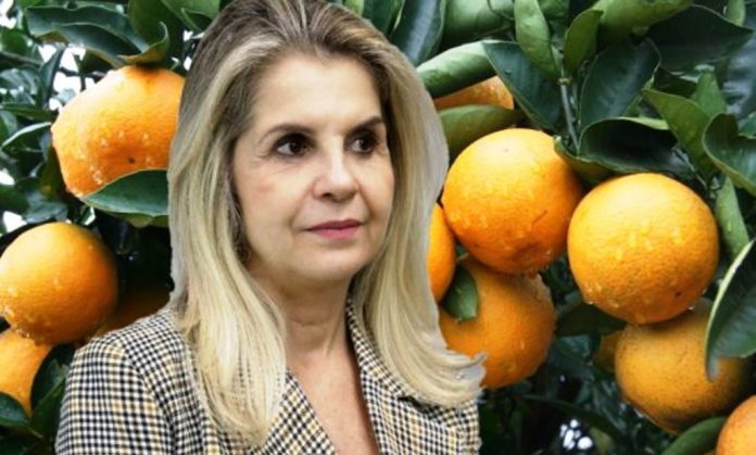 Soraya Manato confessa que PSL teve candidatos laranja