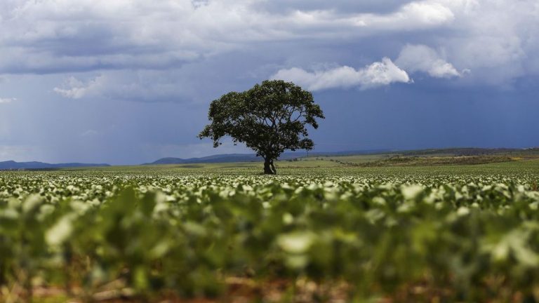 Tecnologia e ciência devem pautar agricultura, diz ex-ministro
