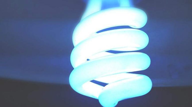 Mais de 5 mil famílias garantem redução na conta de energia elétrica