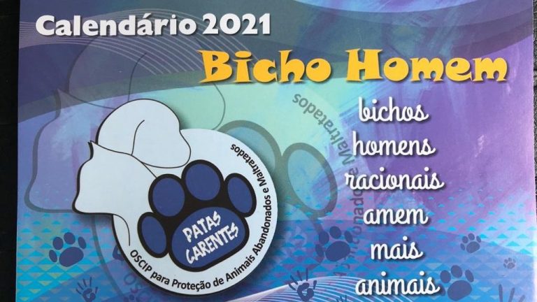 Castelo: ONG Patas Carentes realiza venda de calendários para arrecadar recursos