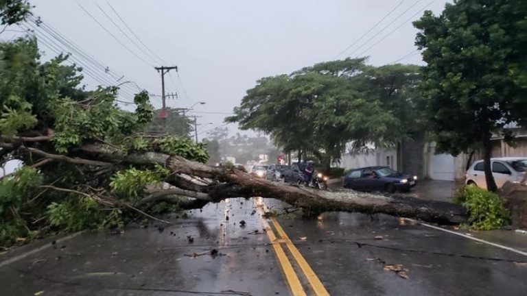 Alerta de chuvas intensas e ventos fortes é emitido para todas as cidades do ES