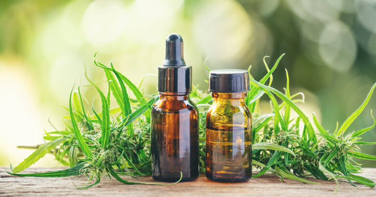 Justiça aprova distribuição de Canabbis medicinal