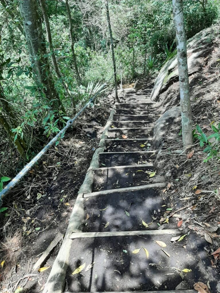 Parque Estadual Pedra Azul: Trilha do Mirante do Forno Grande recebe melhorias
