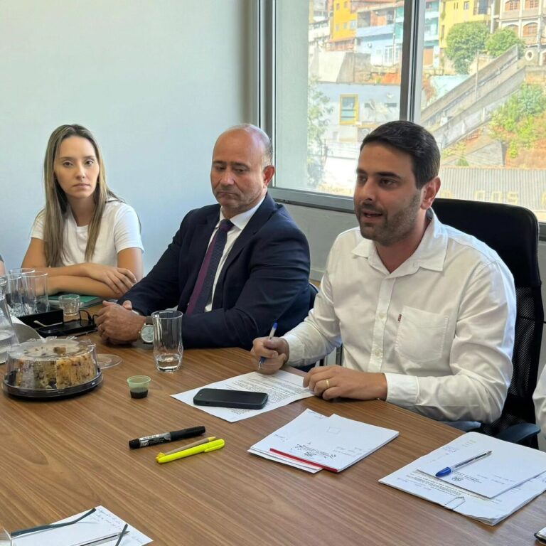 Aliados de Diego Libardi foram a favor de aumento do IPTU em Cachoeiro