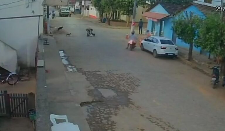 Homem é flagrado matando cachorro em via pública no Espírito Santo; Polícia investiga
