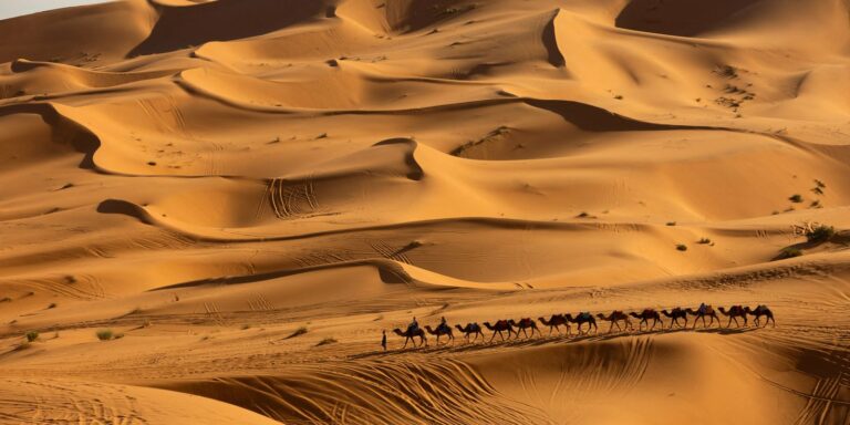 Pesquisa prevê mudanças no clima do Deserto do Saara nos próximos anos