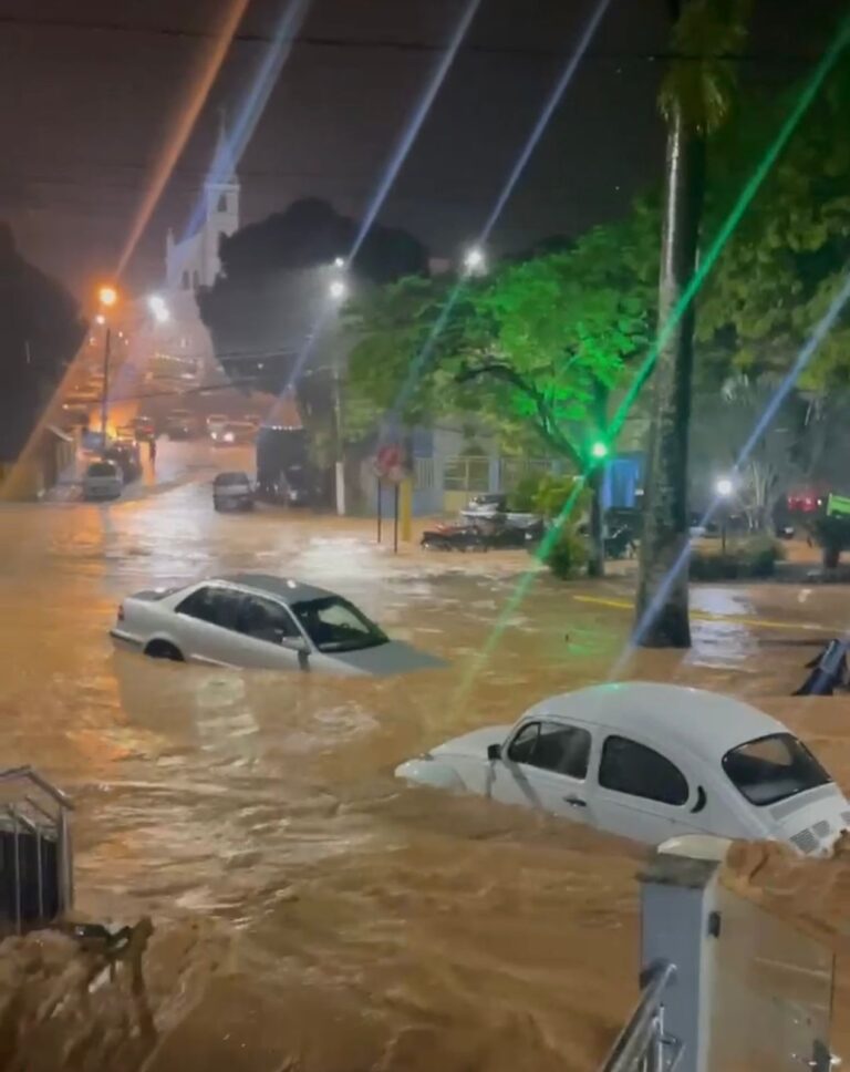Alegre sedia Seminário Estadual Vigidesastres e encerra ciclo de oficinas sobre desastres hidrometeorológicos na Região Sul de Saúde