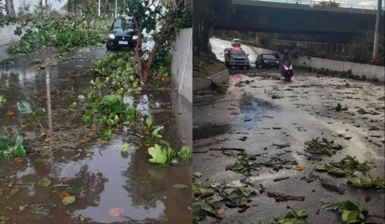 Colatina decreta situação de emergência após chuvas intensas e vendaval