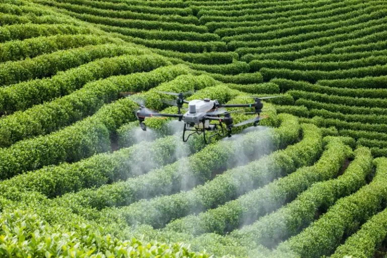 Drones revolucionam pulverização nas lavouras capixabas e reforçam combate a pragas no verão