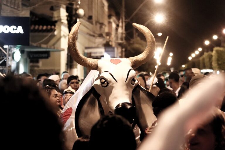 Carnaval Cultural do Boi Pintadinho: Uma folia diferente que atrai muitos turistas a Muqui